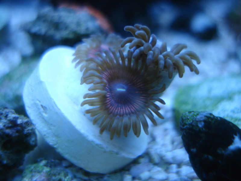 fish4-09060.jpg