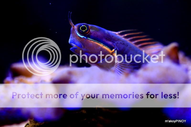 _MG_9881.jpg