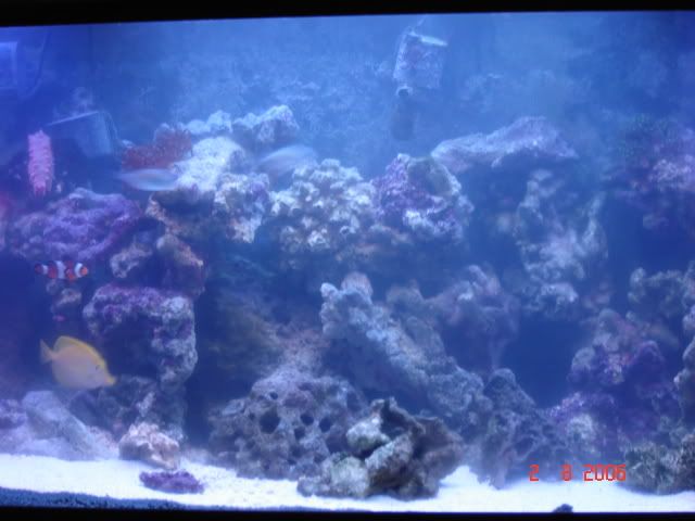 DSC00831.jpg