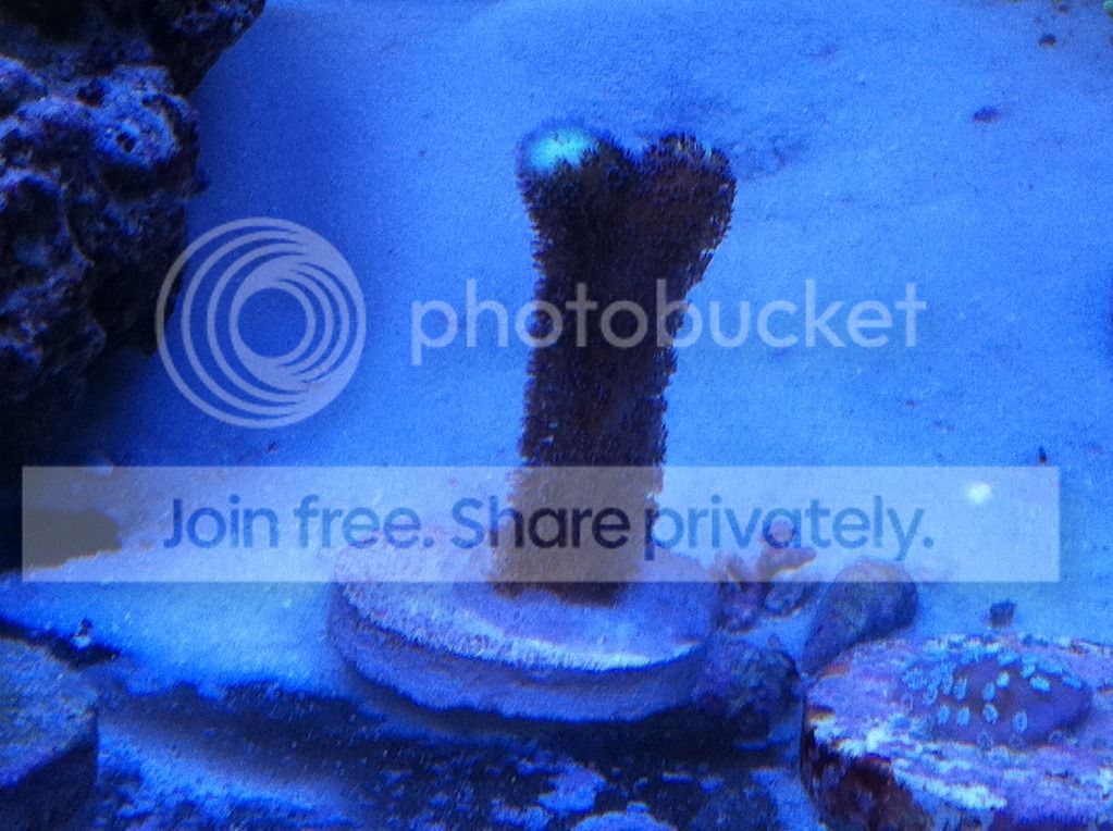3-14-12005.jpg