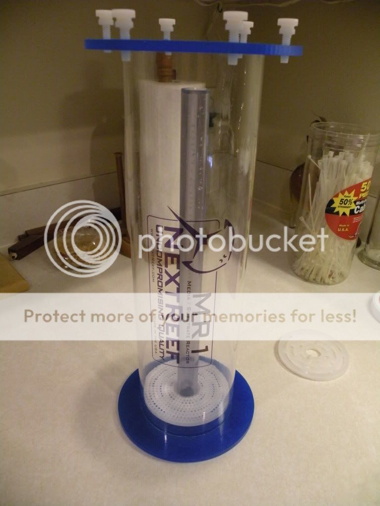 DSCN5710.jpg