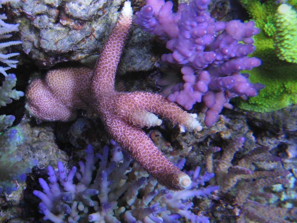IMG_0942.jpg