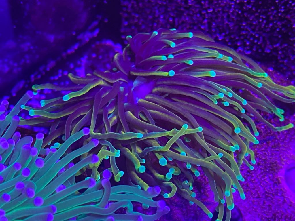 ec5ebf57f4c5f7185278c0159725e164.jpg