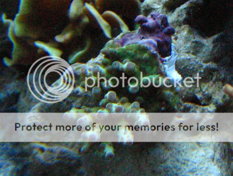 8-19-2006.jpg