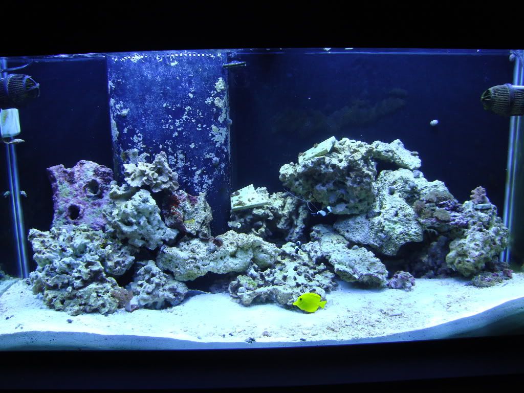 May6thtanks008.jpg