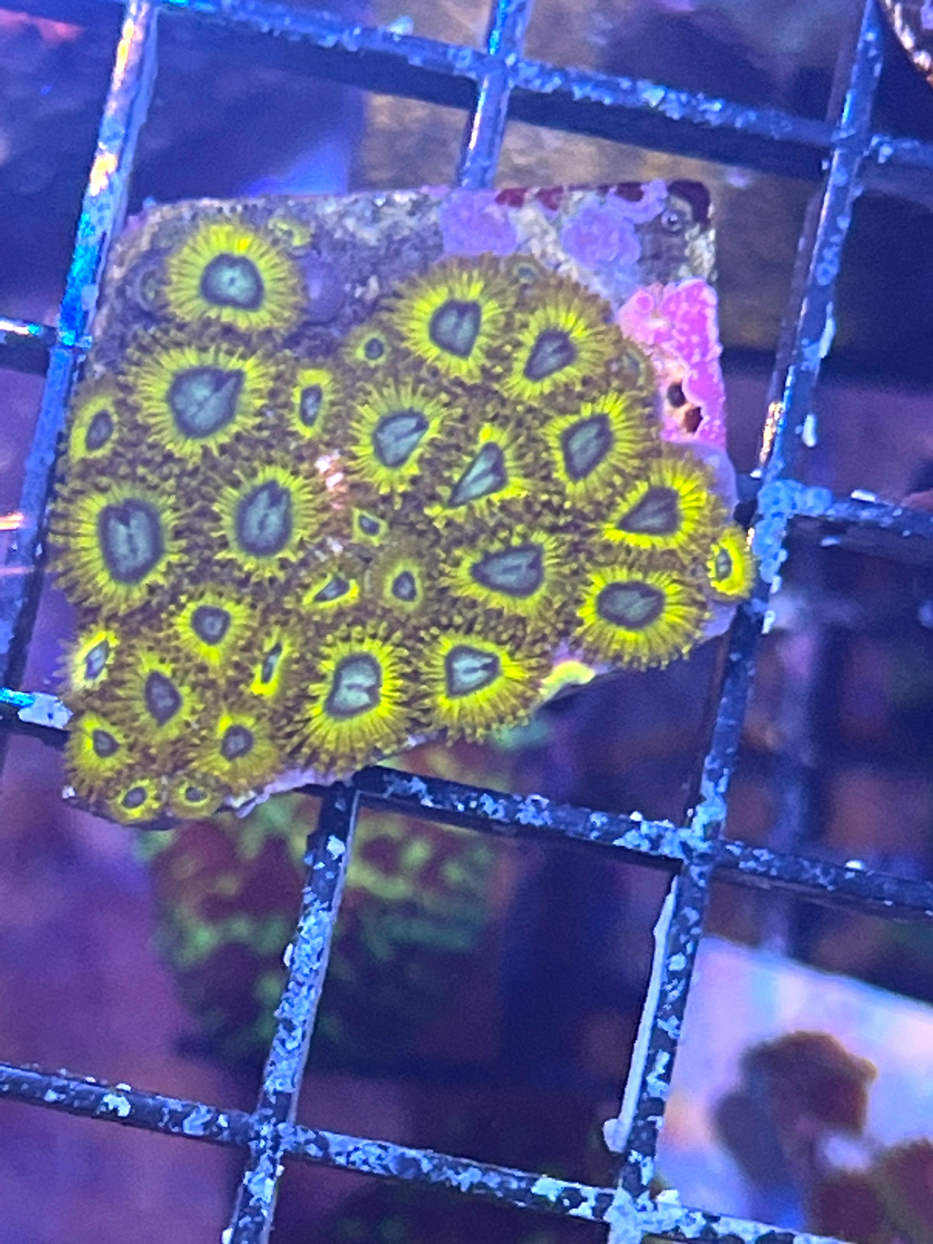c7ac6f211096f9392519aa07712fafe6.jpg