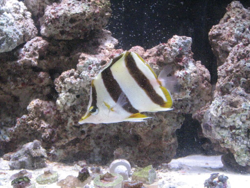 IMG_2716.jpg
