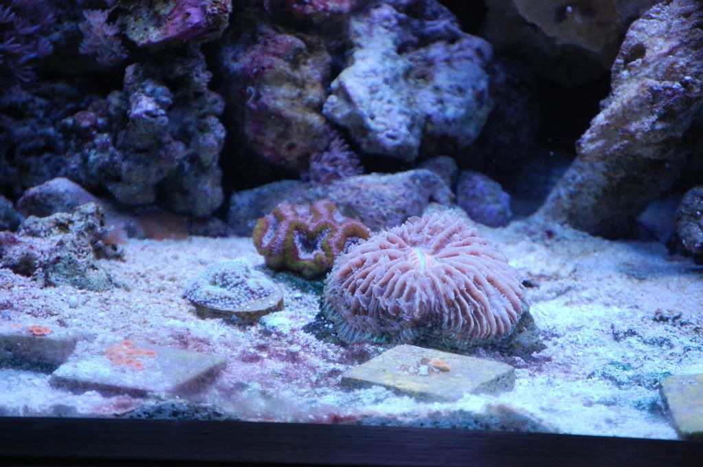 DSC_7554.jpg