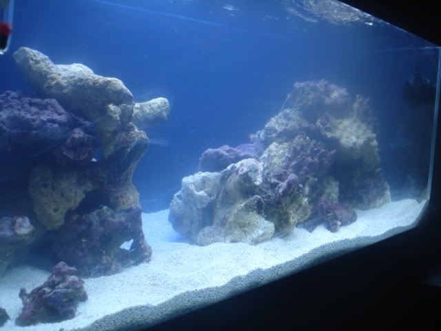 DSC03749.jpg