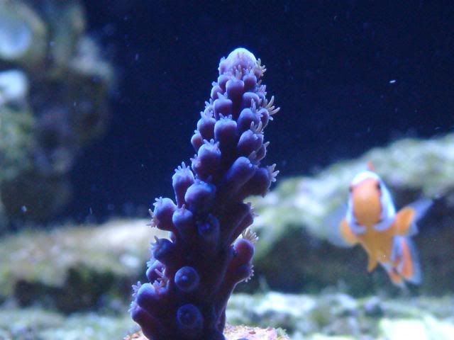 DSCF0023.jpg