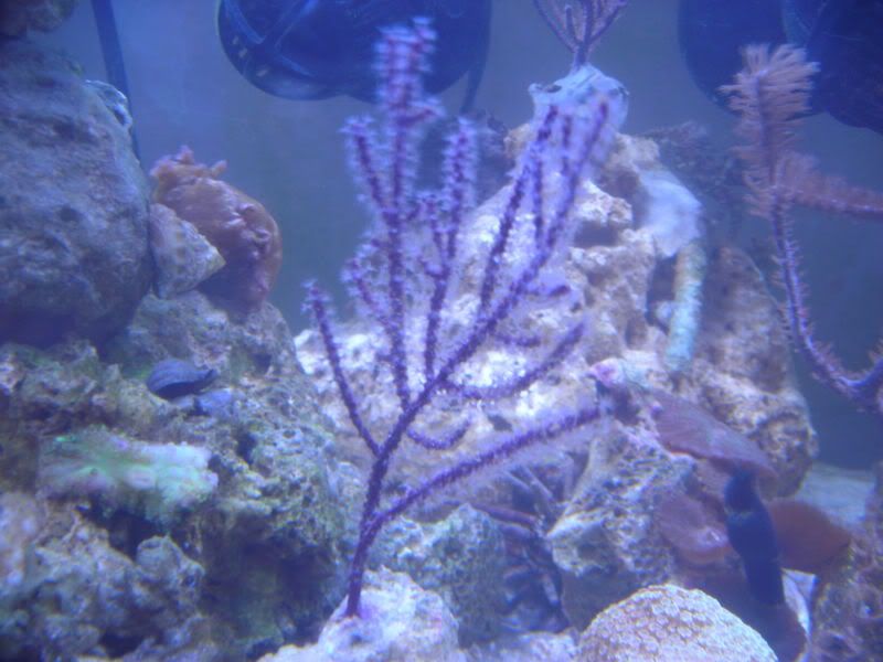 DSCN1779.jpg