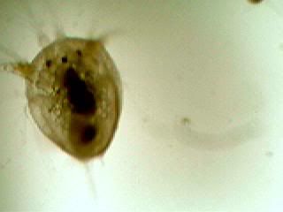 Picture019.jpg