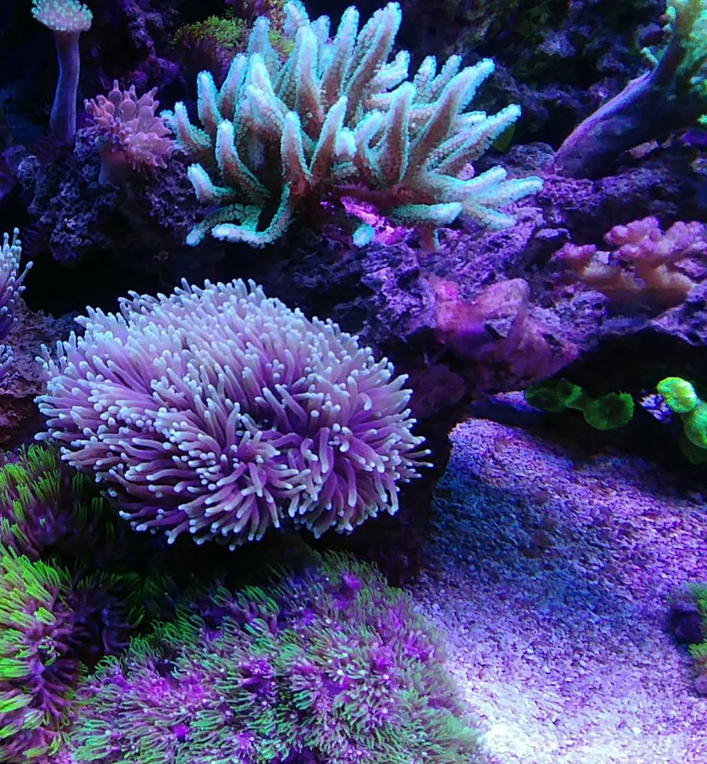 2946e6cbe05c35583b17744efad4f712.jpg