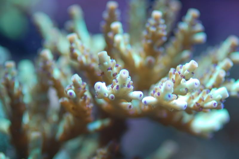 fishstuff10091.jpg
