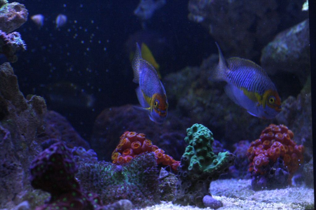 _MG_0010_2.jpg
