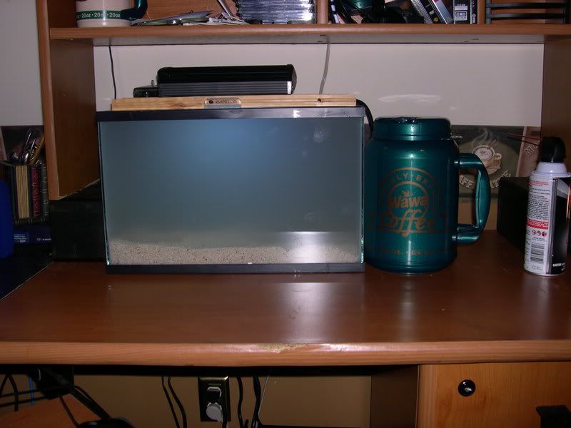 05b-FullTank3-Murky.jpg