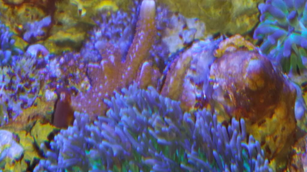2014-10-25102745_zpsa64c77c0.jpg