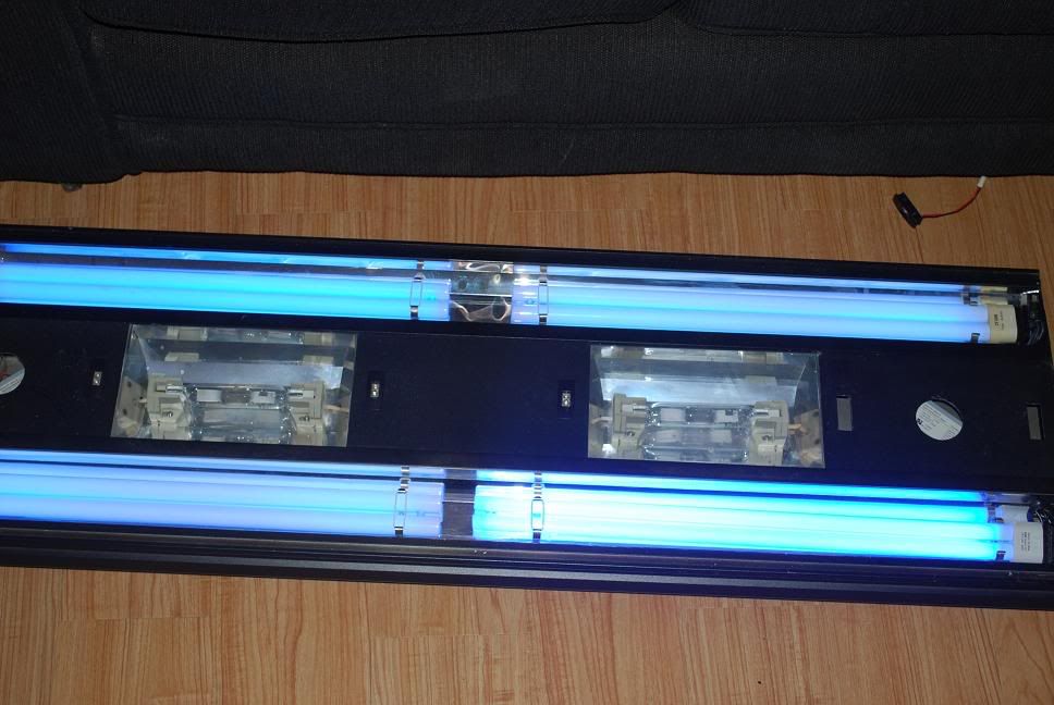 LightPic4.jpg