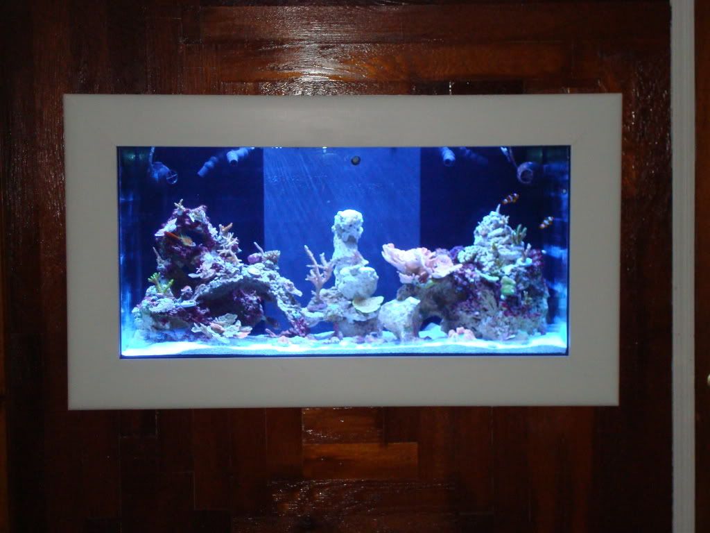 Tank2009june024-1.jpg