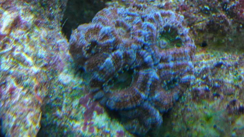 DSCN0842.jpg