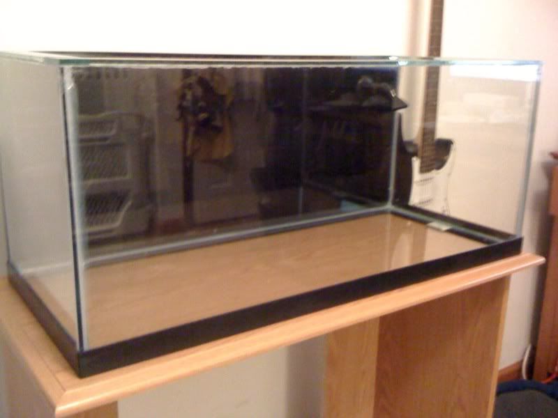 photo2-1.jpg