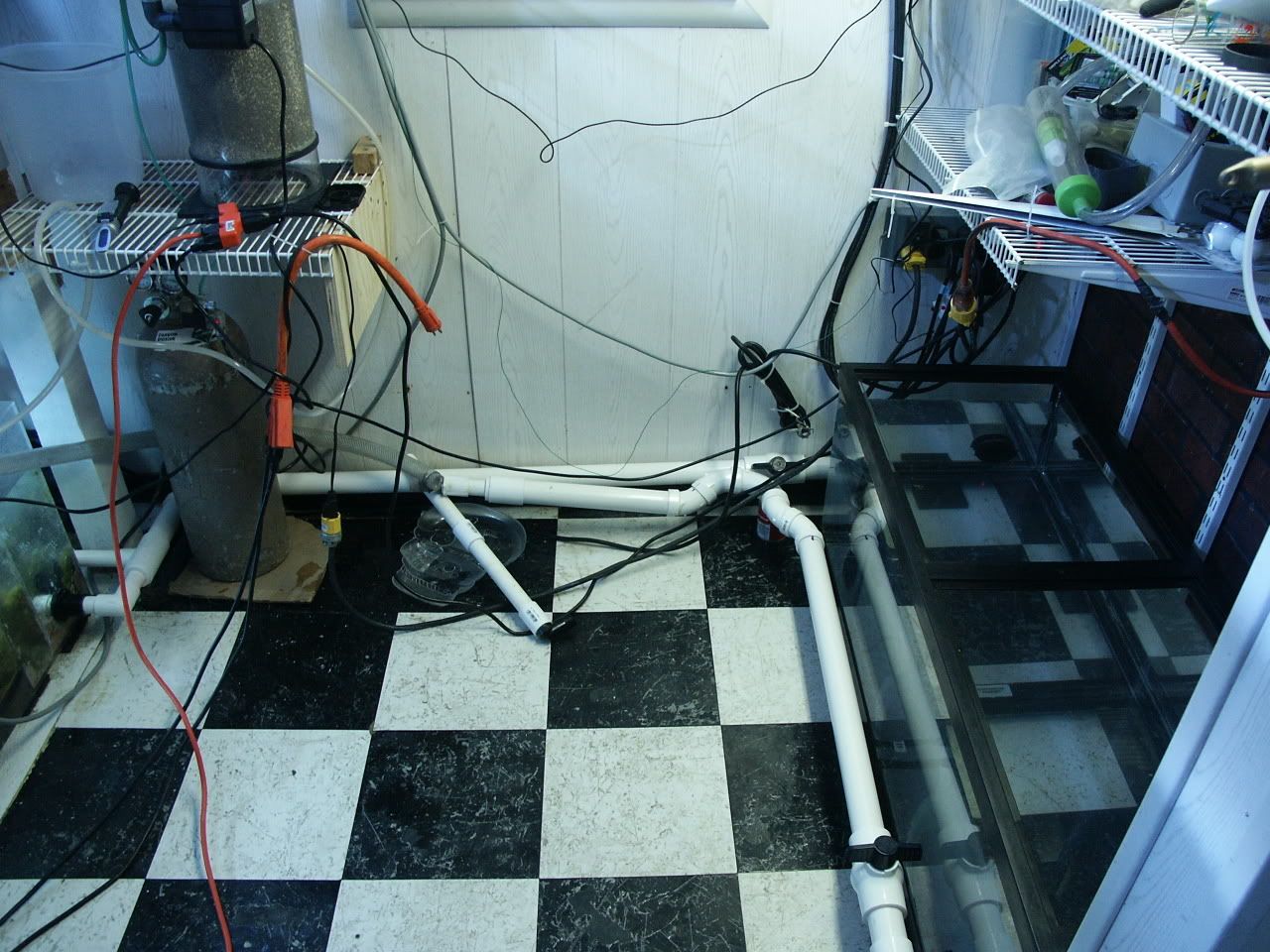 PICT0164.jpg