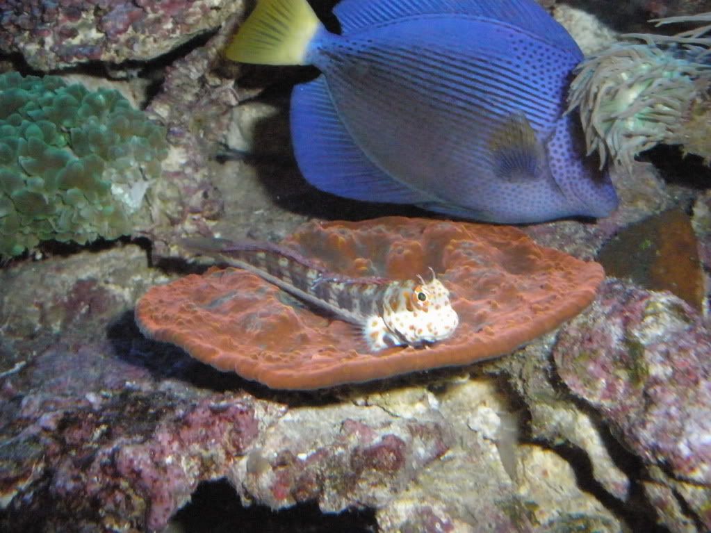 P7261200a.jpg