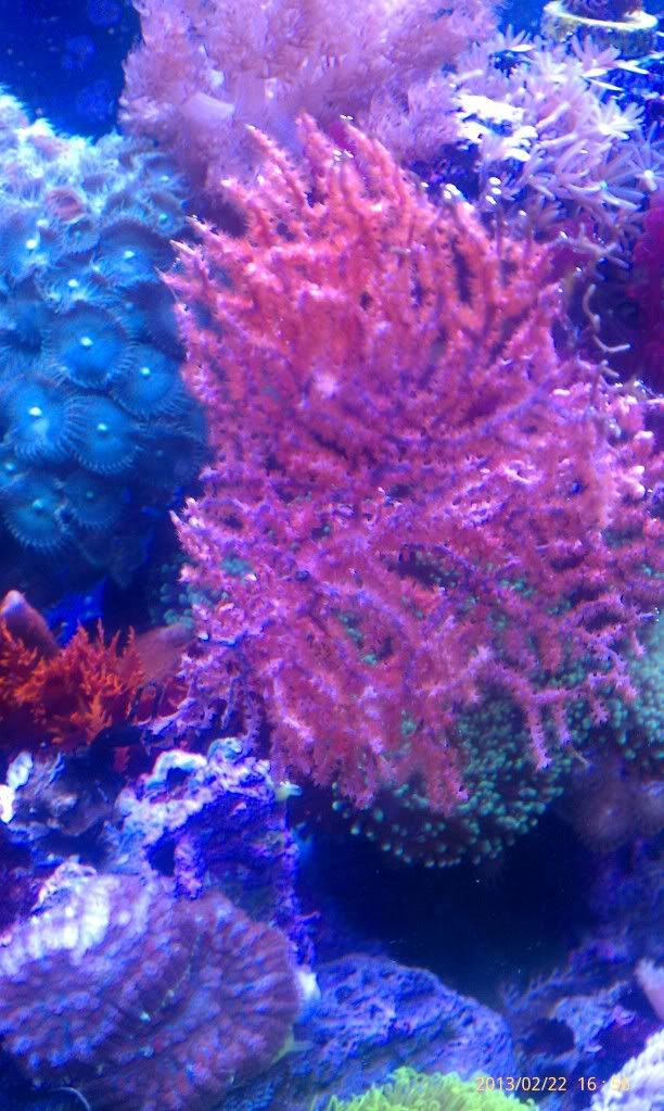 IMAG1147_zps71bcae68.jpg