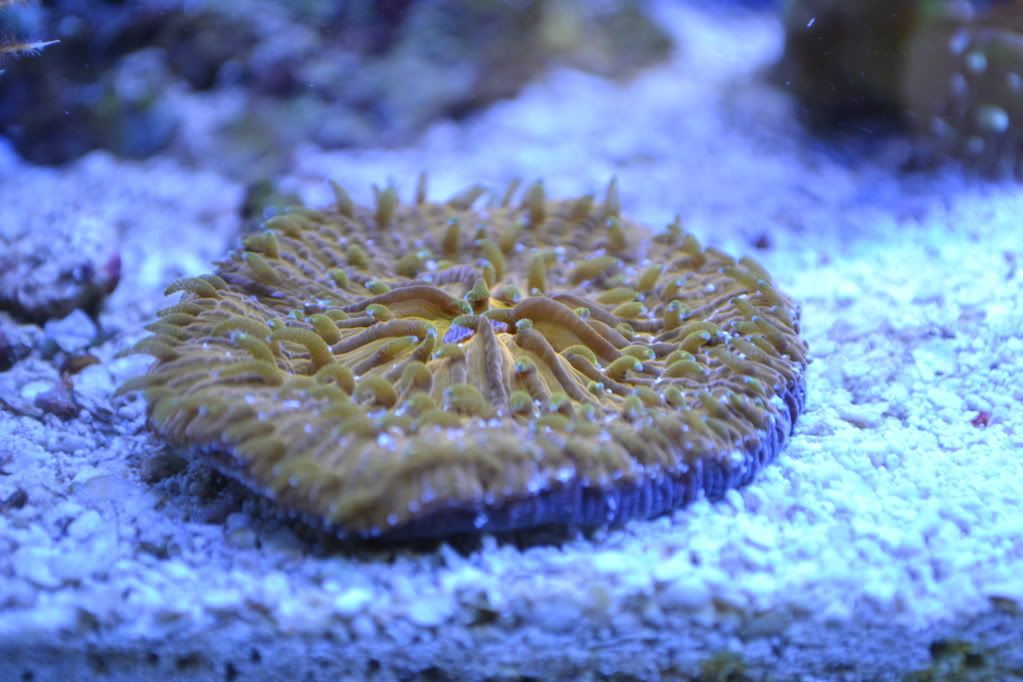 DSC_0009-1.jpg