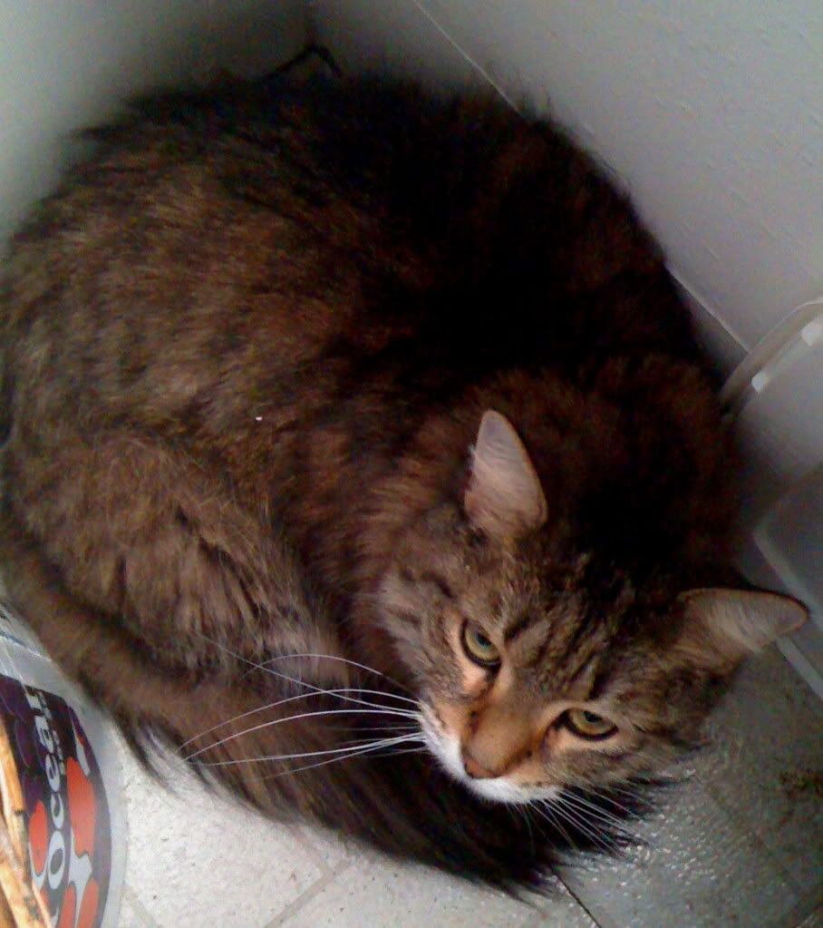 Sunday2010.jpg