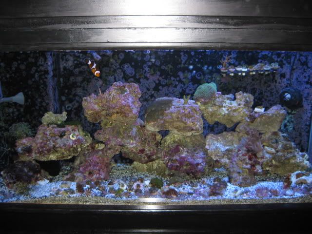 IMG_0511.jpg