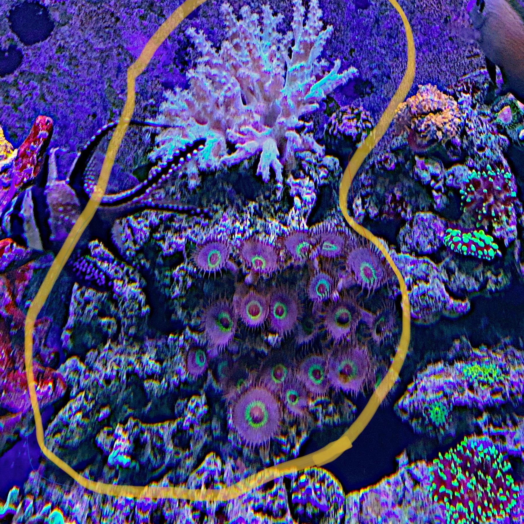 105ef839b002b9687d5f4df6a579bd56.plist