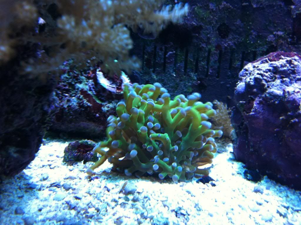 IMG_1577.jpg