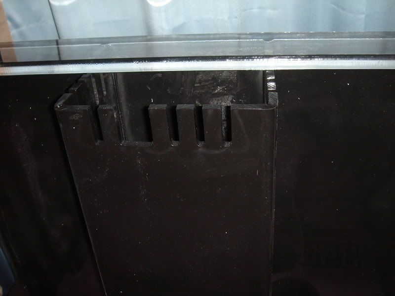 2008_0307100g-square0004.jpg
