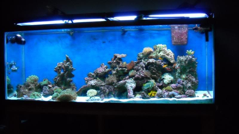 DSCN0786.jpg