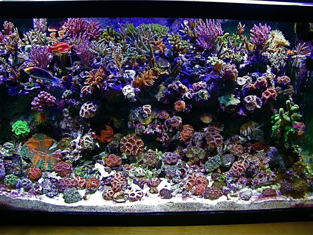 P1010009-1.jpg