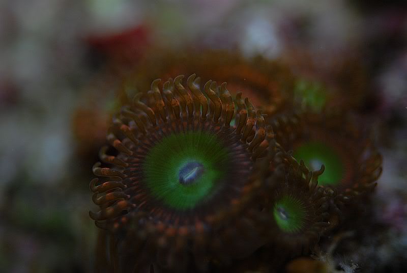 DSC_0265.jpg