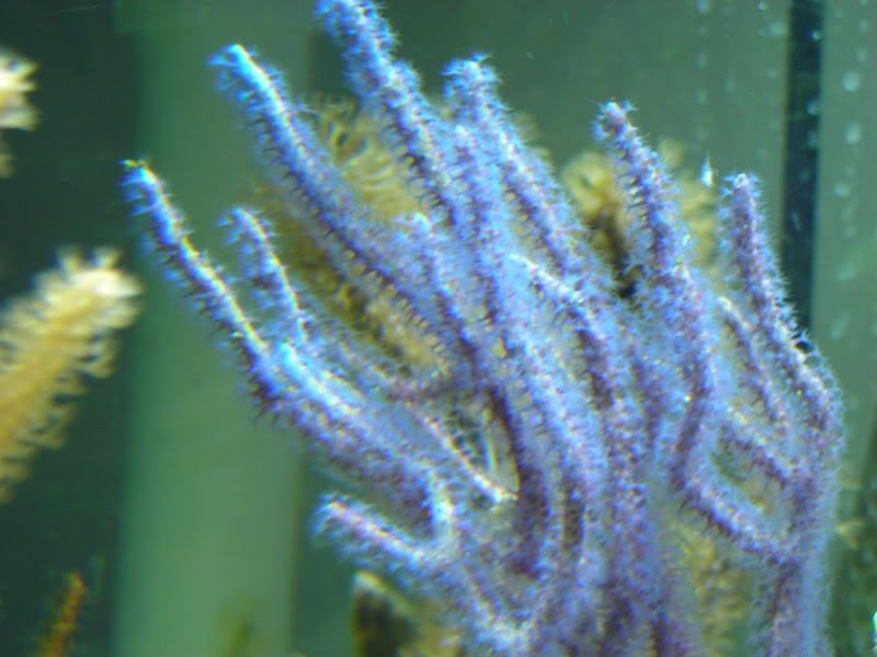 DSCN2084.jpg
