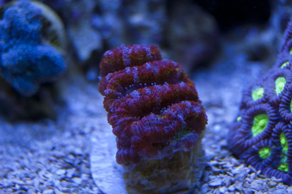 DSC_0409.jpg