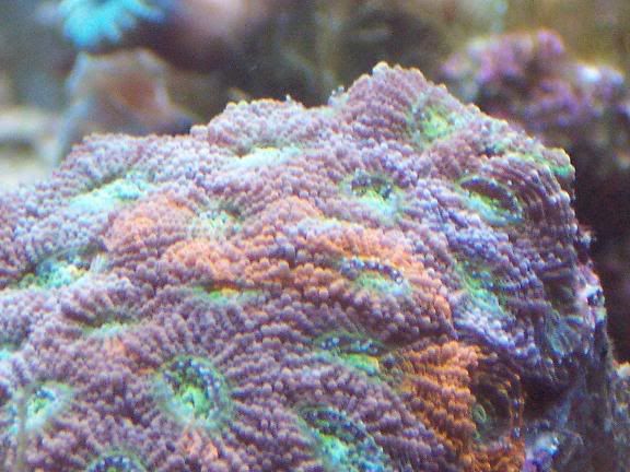 100_0814.jpg