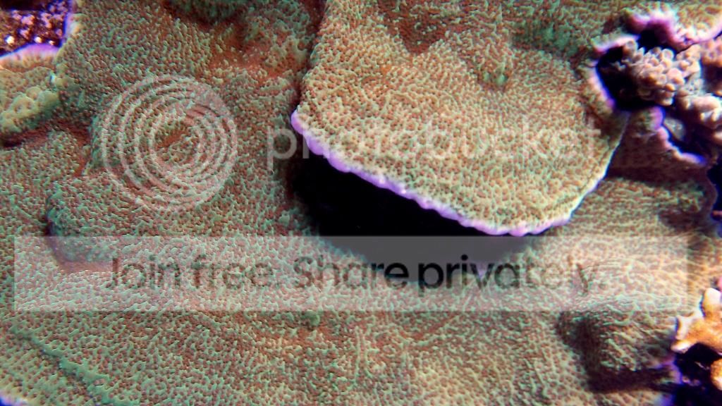 100_0400_zpsb60f91e9.jpg