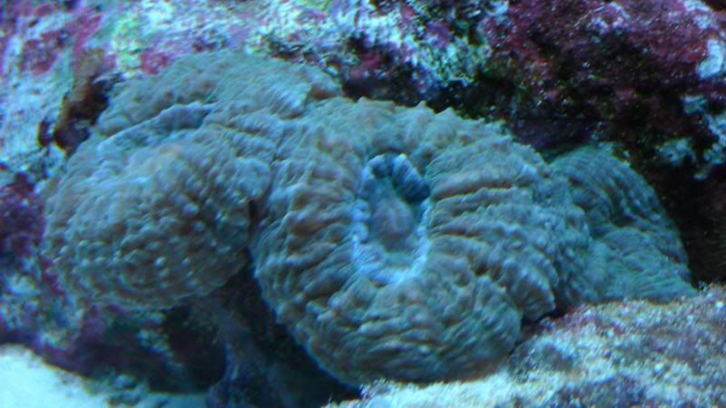 DSCN0755.jpg