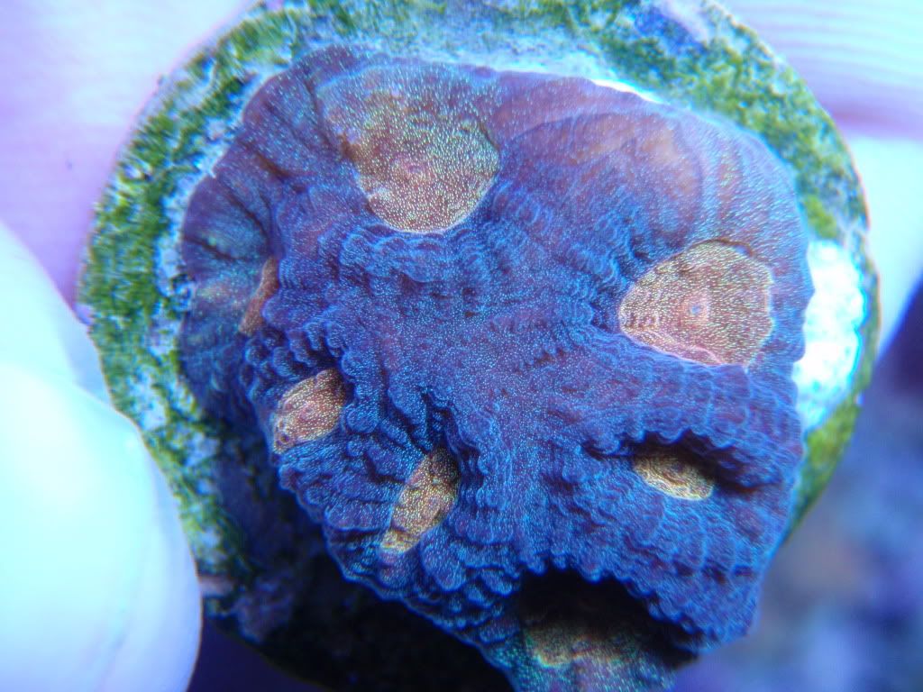 2012-12-15134347.jpg