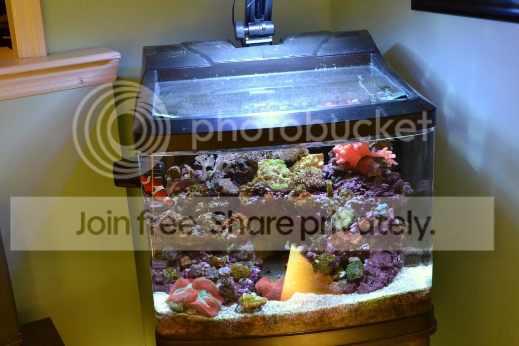 nanoforsale053.jpg