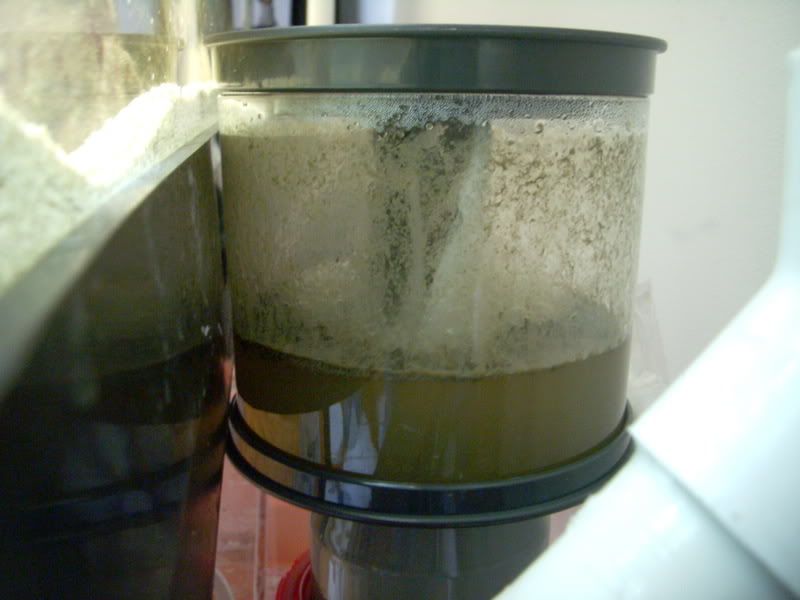 DSCN0986.jpg