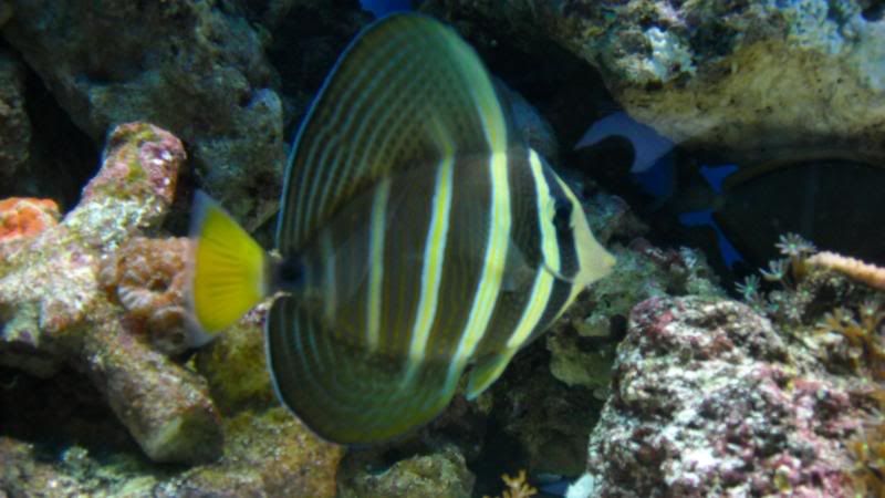 DSCN0918.jpg