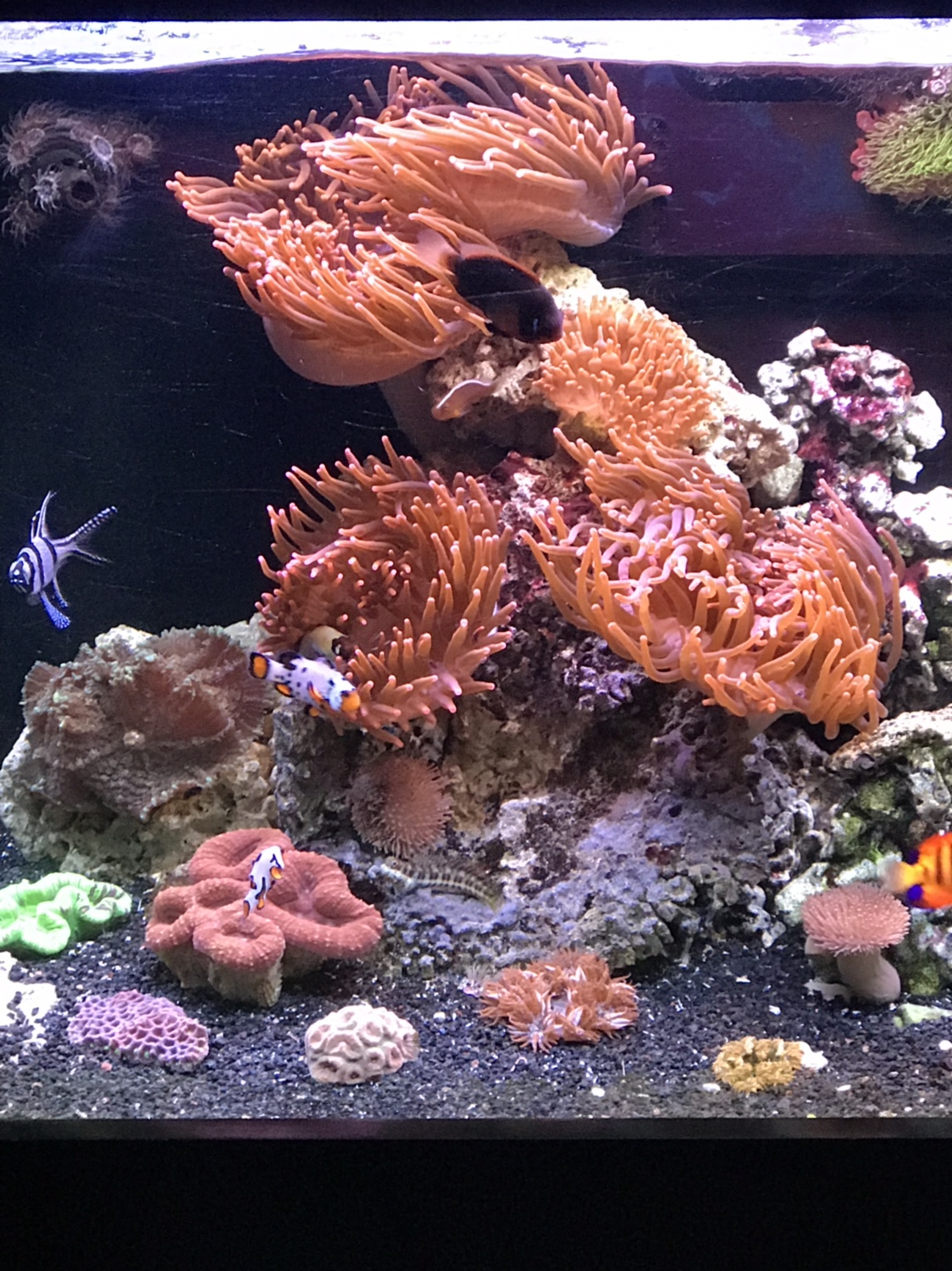 f96941e4ec950de03751344be4895f15.jpg