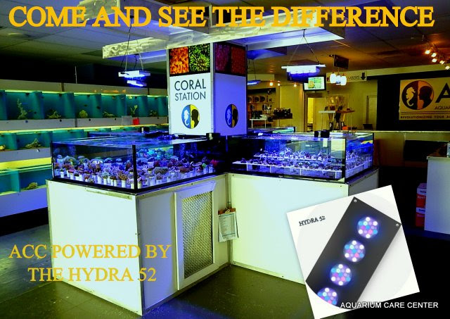 gtDQm4G.jpg