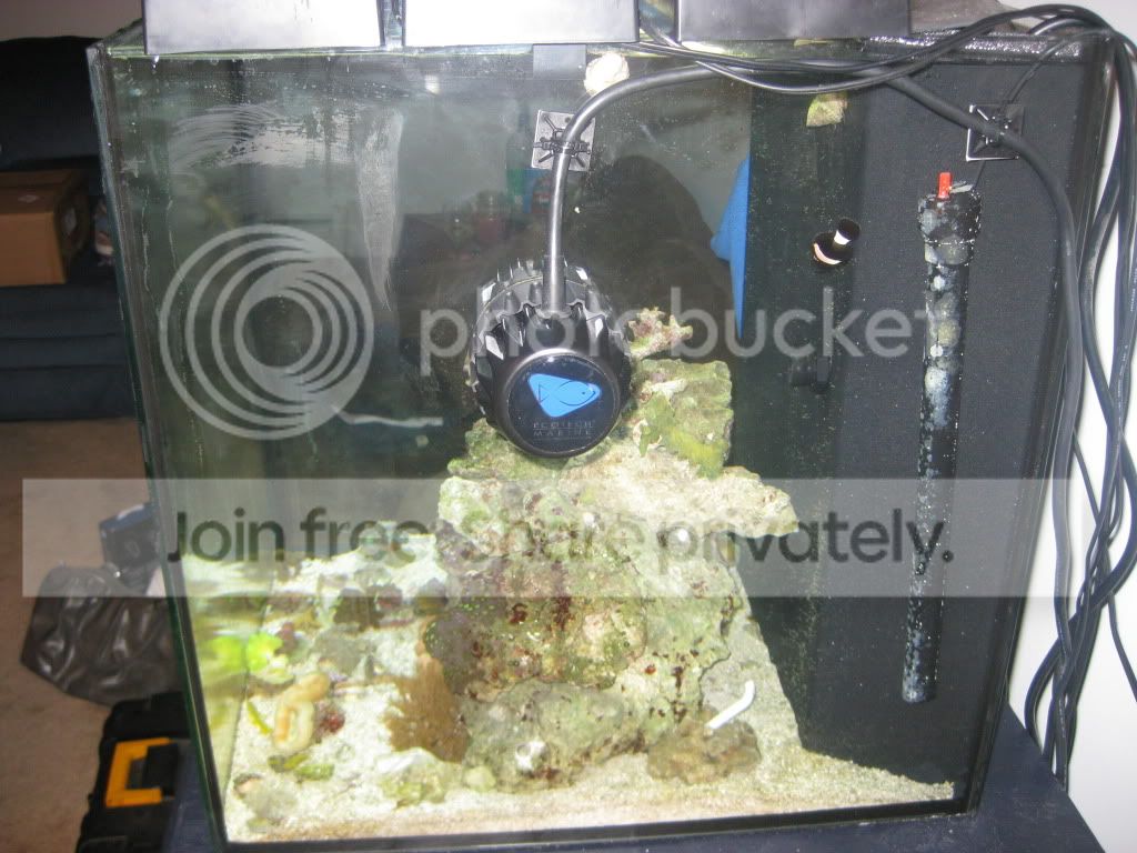 Fish003-1.jpg