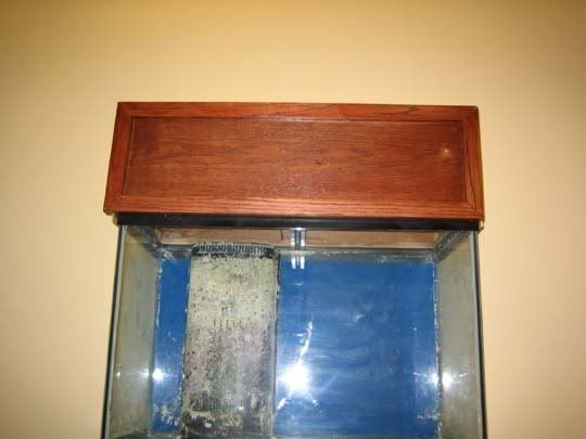 65g1.jpg